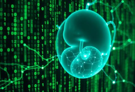matrix of glowing translucent binary digits of code cascading, comprised of detailed vertical cascading streams of glowing green Matrix-like code, depth of field, code droplets in shape of human embryo connected to intersection of nodes in circulatory system, ultrasound detailed sonogram