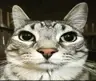 Yourmagesty's Avatar
