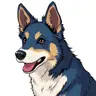blue_heeler's Avatar