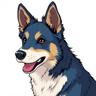 blue_heeler