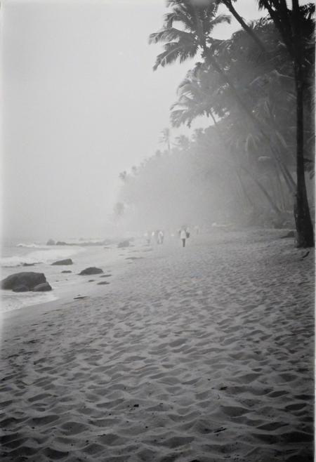 KB_Kentmere400, instagram photo, a foggy beacht in sri lanka,  soft shadows, film grain