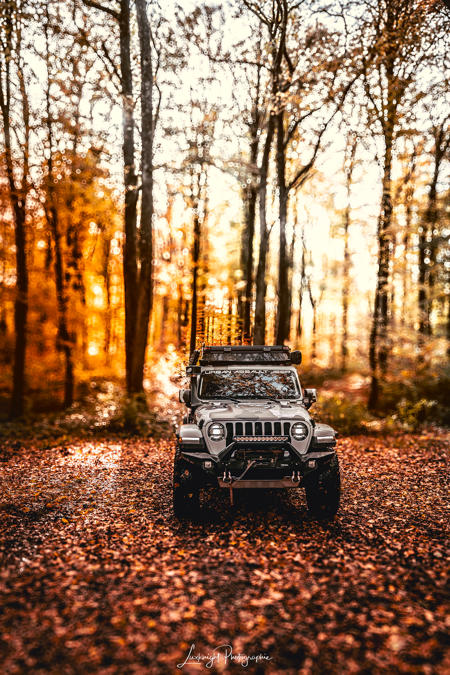 jeep-forest-1.jpg