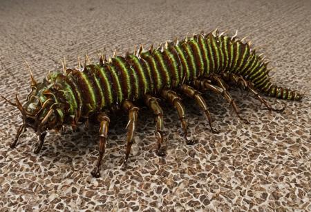 centipede drupe. It should be close-up, with detailed body segments and many legs that curve gracefully. The background should be neutral to make the centipede stand out. Use natural colors such as brown and green to highlight her natural habitat. Add soft lighting to create a sense of depth and texture.
, huge round breasts), (full mask, full costume with cleavage cut away), extremely high-resolution details, photographic, realism pushed to extreme, fine texture, incredibly lifelike, huge tits