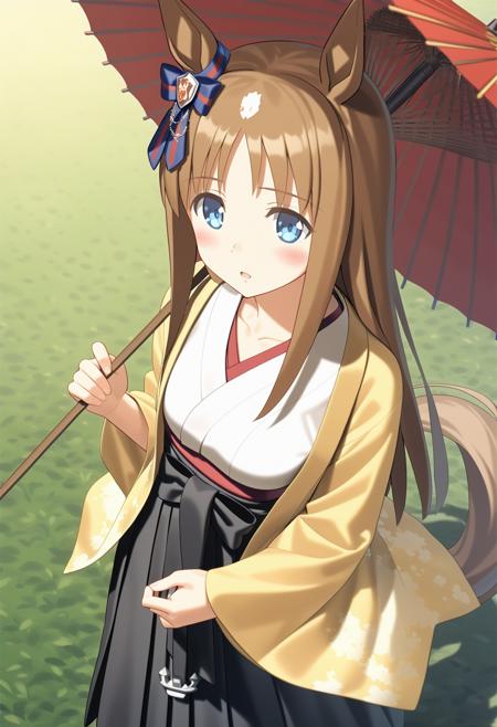 1girl, grass wonder \(umamusume\), umamusume, takeuchi takashi, from above, holding oil-paper umbrella, yellow haori, white kimono, black hakama, hakama skirt, wide sleeves, long sleeves, hair bow, horse tail, anchor, collarbone, natural lighting, (masterpiece, best quality), newest, late, detailed scenery, grassy field, (3d render:0.8), watercolor \(medium\), <lora:kamikazes_animaginexl_2-44:0.8>