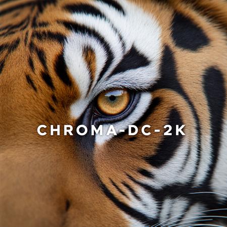 Chroma-Flash-Heun Rank 40