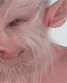 Brainwashed_Potato's Avatar