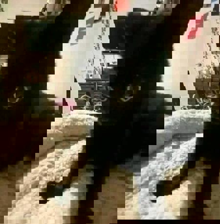 MJ1l's Avatar