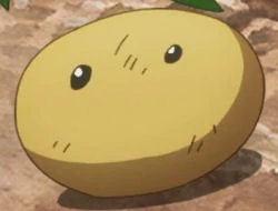 NotApotato1's Avatar