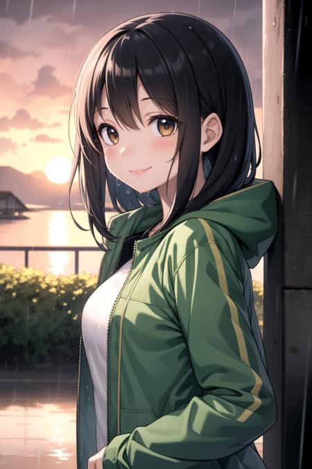 masterpiece, best quality, detailed, 1girl, rain jacket, close jacket, sunset, rain, smile