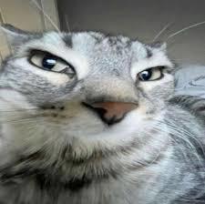 ZaZus's Avatar