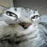 ZaZus's Avatar