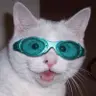 tokillthelight's Avatar