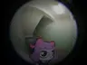 Kapeebara's Avatar