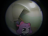 Kapeebara