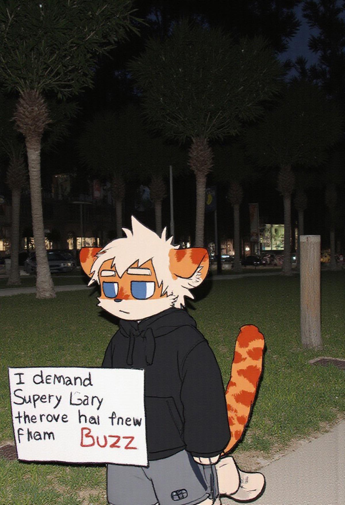 milkytiger, tiger ears, tiger boy, white eyebrows, white hair, blue eyes, 1boy, solo, furry, 2d Art, walks in a park at night with a sign "I demand a Really Super Gay Lora. Therefore, give me Buzz", milkytager he has tiger ears and orange fur, has blue eyes, He is wearing a black sweater and grey shorts, young, white hair