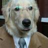 definitelynotadog