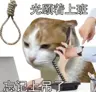 LandeQingzi's Avatar