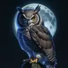BigOwl's Avatar