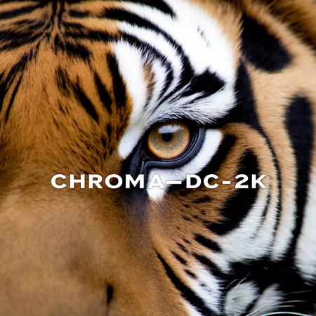 Chroma-Flash-Heun Rank 04