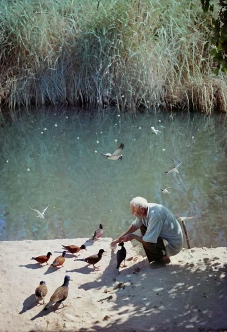 soaked_mundwasser, an old man feeds some birds, hard shadows, film grain