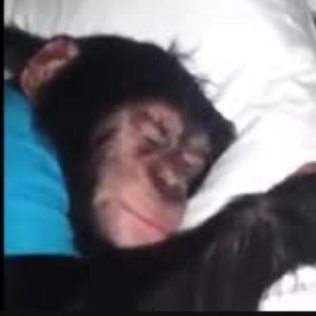 maddukerabbit394's Avatar