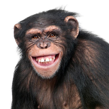 Gordgohwhj's Avatar