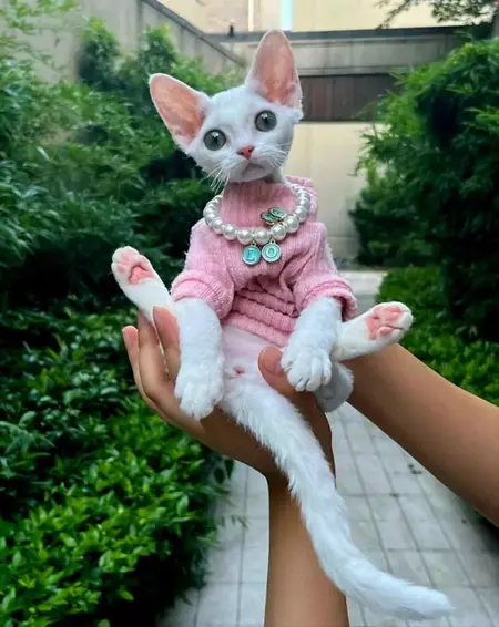 Sersi's Avatar