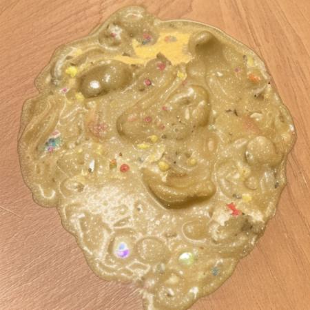 dog vomit V1