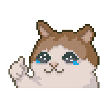 Cenvirya's Avatar