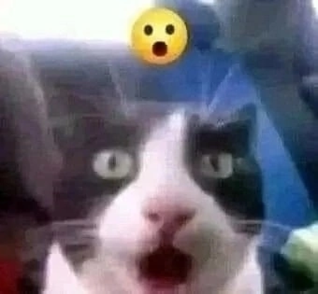 2qq's Avatar