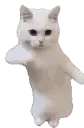 kozar_mihaigd's Avatar