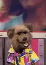 Abracadabra24's Avatar