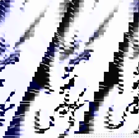 ZeroMAX's Avatar