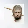 vjhkgjdkjfvhbmgvkhfjc's Avatar