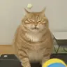 repvl1ka's Avatar