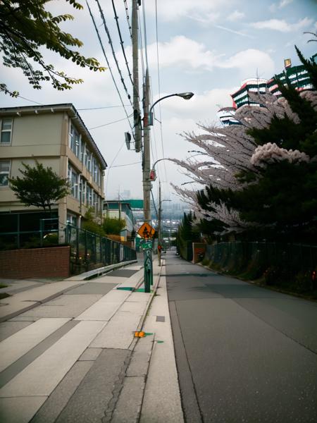 masterpiece, best quality, ultra-detailed, illustration,
haruhizaka, kitakoumae, scenery, outdoors, tree, lamppost, road, sign, power lines, fence, utility pole, sky, road sign, building, street, water, cloud, cherry blossoms, grey sky, grass, real world location, 
 <lora:kitakoukou:1>