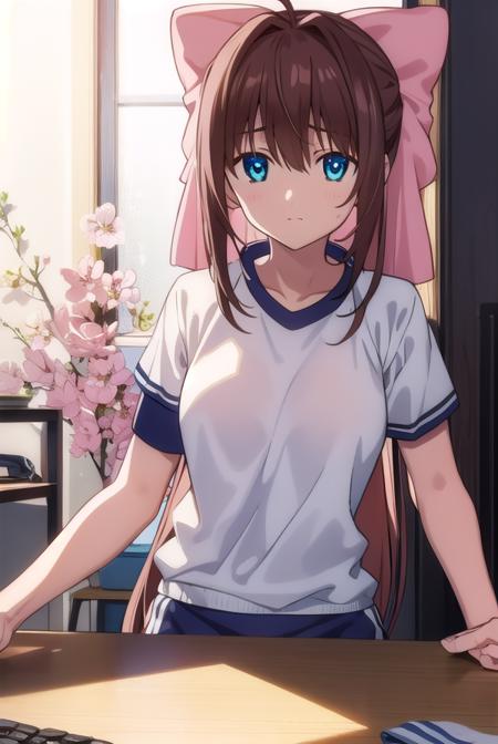 otomeasakura, <lora:otomeasakura-lora-nochekaiser:1>,
otome asakura, long hair, brown hair, bow, ahoge, hair bow, pink bow, blue eyes,
BREAK gym uniform, buruma, red buruma,
BREAK looking at viewer,
BREAK indoors, classroom,
BREAK <lyco:GoodHands-beta2:1>, (masterpiece:1.2), best quality, high resolution, unity 8k wallpaper, (illustration:0.8), (beautiful detailed eyes:1.6), extremely detailed face, perfect lighting, extremely detailed CG, (perfect hands, perfect anatomy),