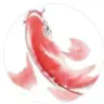 hongyuchuangxin's Avatar