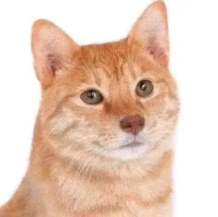 TheNikto's Avatar