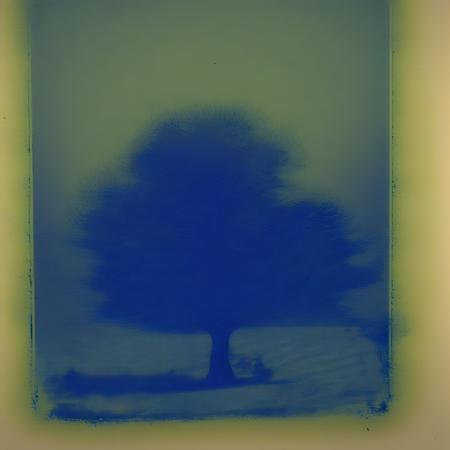 Cyanotype_1880-1910_e000010_01_20240925190819.png