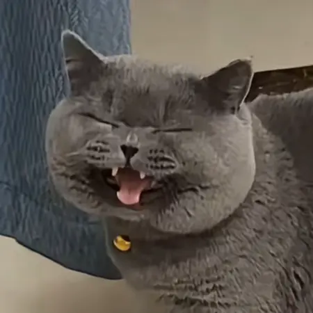 itsdifficulttodoit888's Avatar