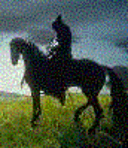 HornyNazgul's Avatar