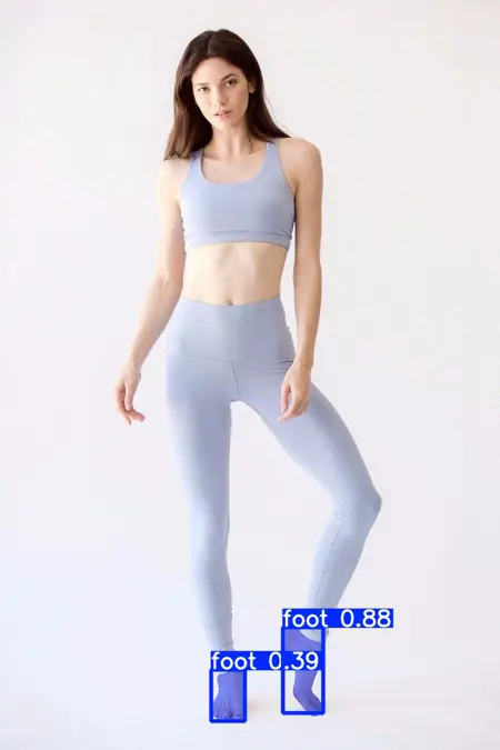 YOLO detection model