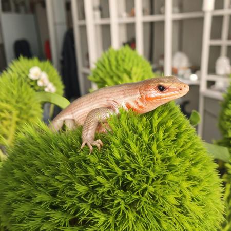 <lora:longzi-HXZ:0.7>scincid, lying on the grass, autumn,greenhouse,cinnamon,