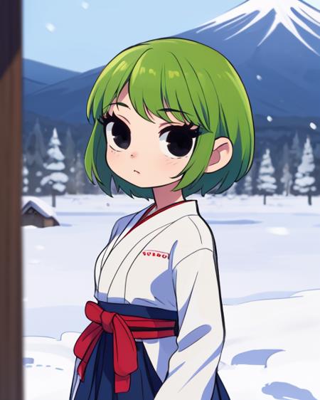 samurai standing on a hill, cowboy shot, 1girl, solo, miko, mount fuji, close-up, depth of field, village, green hair, <lora:scottpilgrimvstheworld_v6.0_Mix:1> (scottpilgrimvstheworld, black eyes:1.3), snowing, snow, (masterpiece, best quality:1.3),