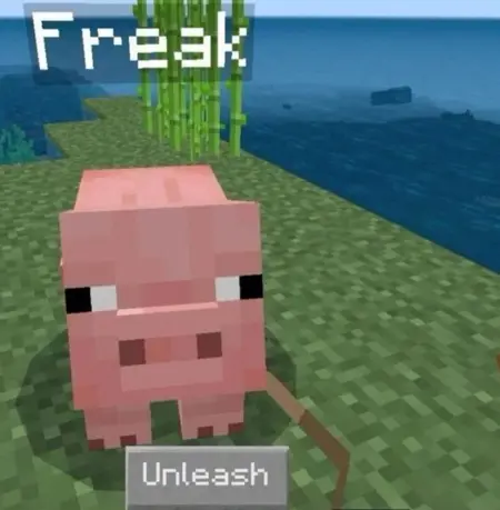 immahoout's Avatar