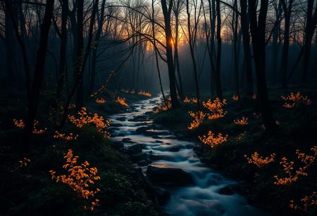 Cinematic long exposure, enchanting woodland at sunset, bio-luminescent brook flows through the trees, glowing flora, soft focus on the foreground, darkening backdrop, warm golden light, gentle mist, soft blur, warm tones, hyper detailed, intricate details, volumetric lighting, 8K, dslr, high quality