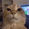 ctian's Avatar