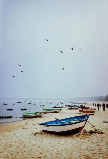 soaked_beer, instagramphoto, a foggy beach with some of birds in the sky and boats on the sea. camera:kiev88 with volna-objektiv, soft shadows, filmgrain