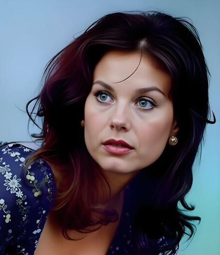 lana-wood.safetensors